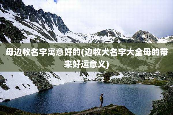 母边牧名字寓意好的(边牧犬名字大全母的带来好运意义)