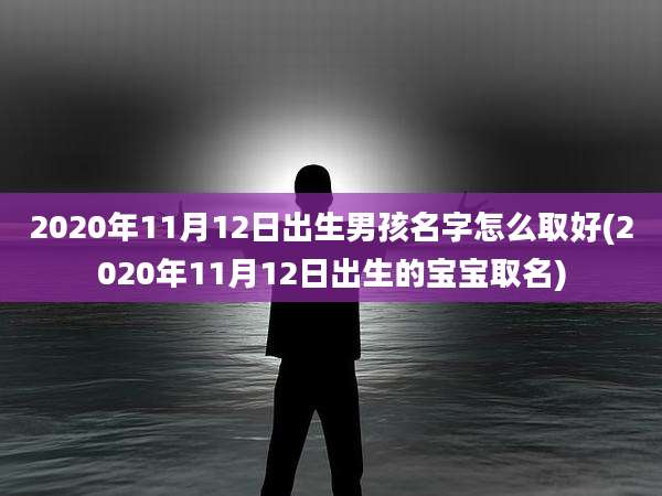 2020年11月12日出生男孩名字怎么取好(2020年11月12日出生的宝宝取名)