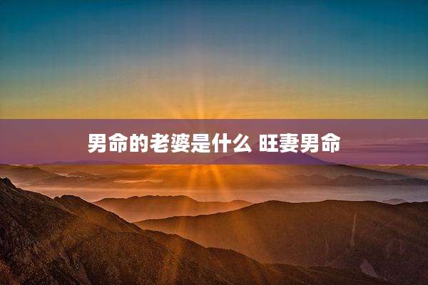 男命的老婆是什么 旺妻男命