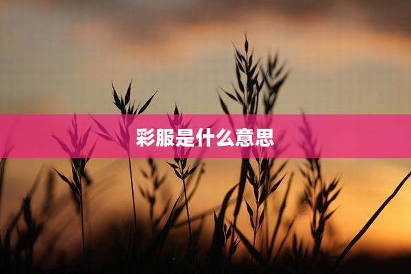 彩服是什么意思