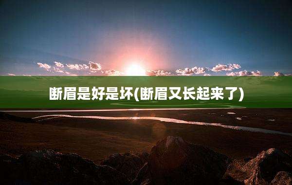 断眉是好是坏(断眉又长起来了)