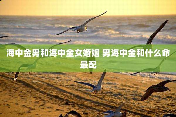 海中金男和海中金女婚姻 男海中金和什么命最配