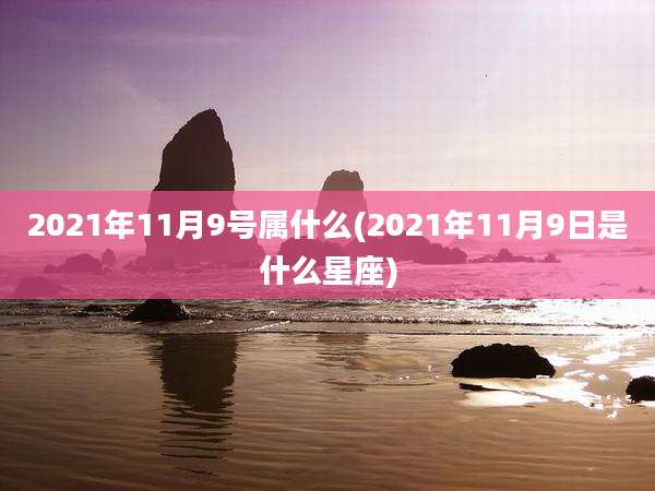 2021年11月9号属什么(2021年11月9日是什么星座)