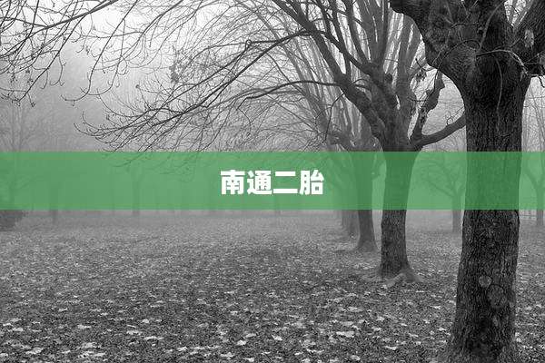 南通二胎