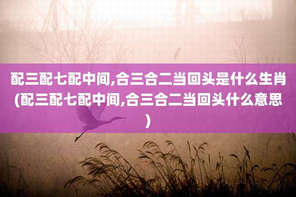 配三配七配中间,合三合二当回头是什么生肖(配三配七配中间,合三合二当回头什么意思)