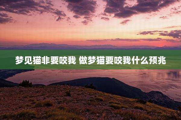 梦见猫非要咬我 做梦猫要咬我什么预兆