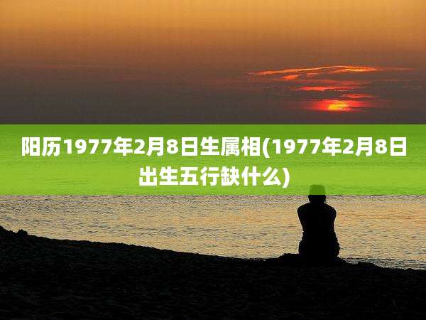 阳历1977年2月8日生属相(1977年2月8日出生五行缺什么)