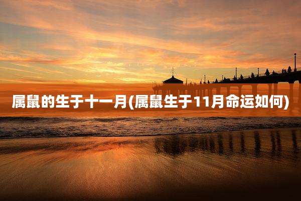 属鼠的生于十一月(属鼠生于11月命运如何)