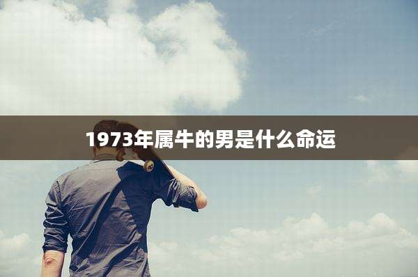 1973年属牛的男是什么命运