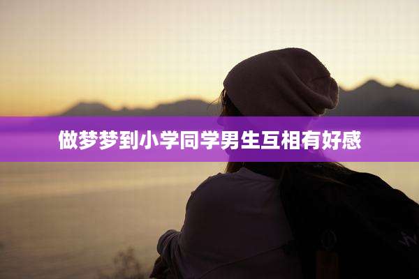 做梦梦到小学同学男生互相有好感