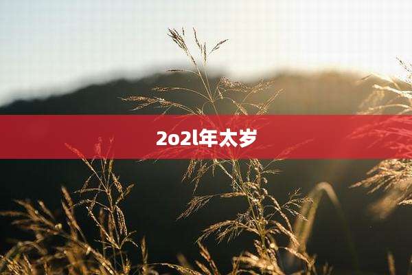 2o2l年太岁