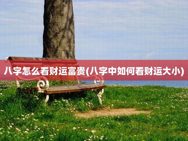 八字怎么看财运富贵(八字中如何看财运大小)