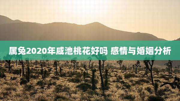 属兔2020年咸池桃花好吗 感情与婚姻分析