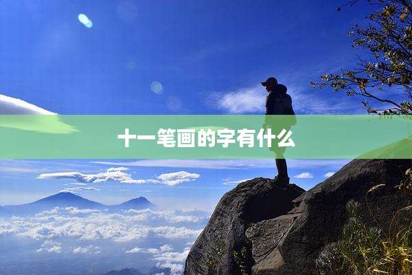 十一笔画的字有什么