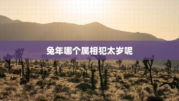 兔年哪个属相犯太岁呢