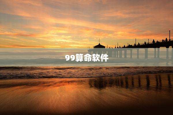 99算命软件