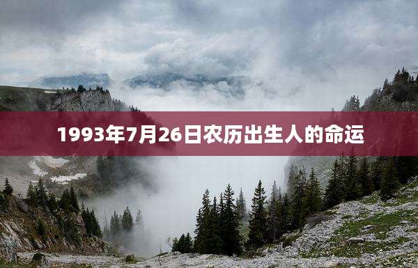 1993年7月26日农历出生人的命运