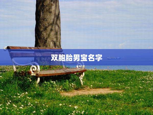双胞胎男宝名字