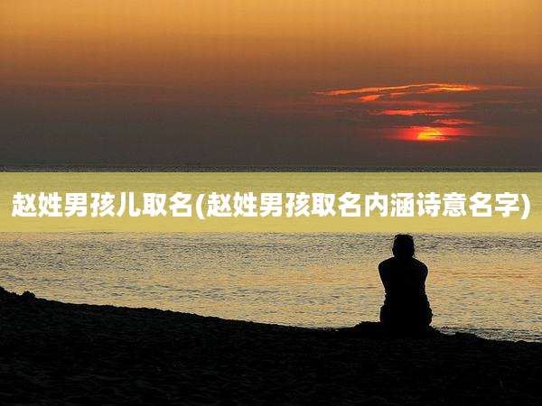 赵姓男孩儿取名(赵姓男孩取名内涵诗意名字)