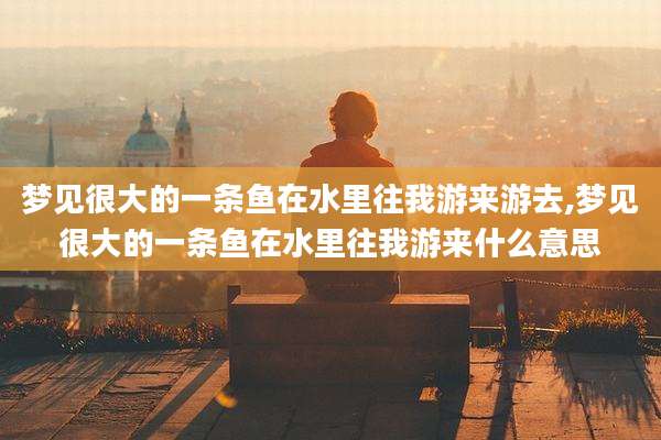 梦见很大的一条鱼在水里往我游来游去,梦见很大的一条鱼在水里往我游来什么意思