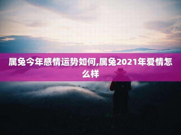 属兔今年感情运势如何,属兔2021年爱情怎么样