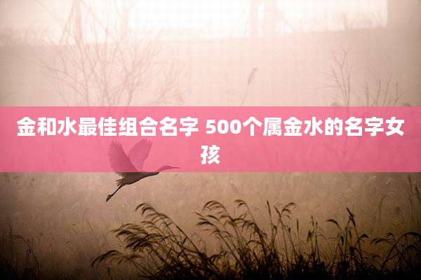 金和水最佳组合名字 500个属金水的名字女孩