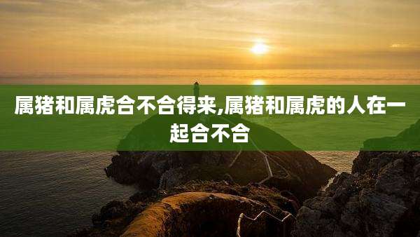 属猪和属虎合不合得来,属猪和属虎的人在一起合不合
