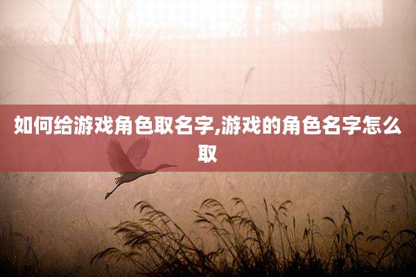 如何给游戏角色取名字,游戏的角色名字怎么取