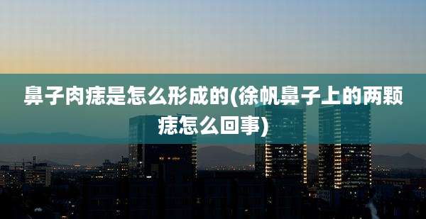 鼻子肉痣是怎么形成的(徐帆鼻子上的两颗痣怎么回事)