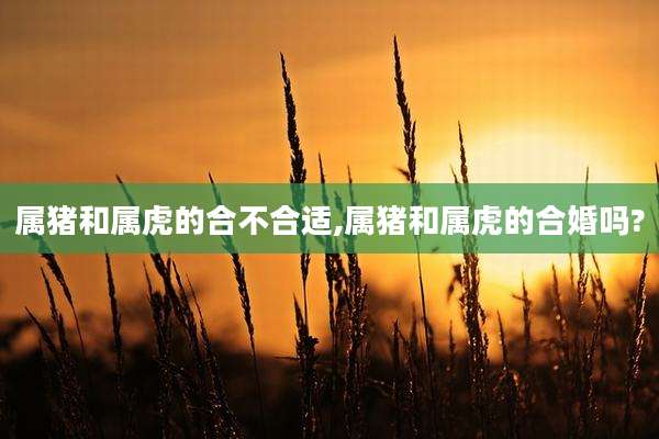 属猪和属虎的合不合适,属猪和属虎的合婚吗?