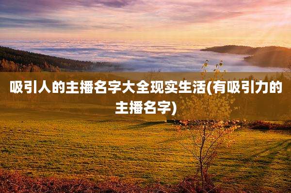 吸引人的主播名字大全现实生活(有吸引力的主播名字)