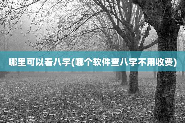 哪里可以看八字(哪个软件查八字不用收费)