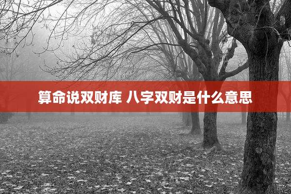 算命说双财库 八字双财是什么意思