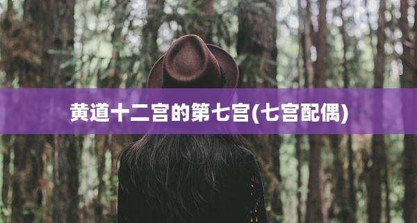 黄道十二宫的第七宫(七宫配偶)