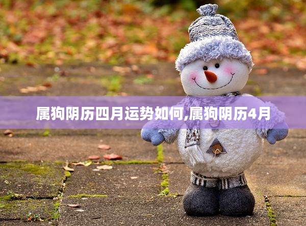 属狗阴历四月运势如何,属狗阴历4月