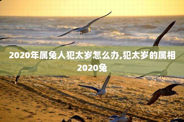 2020年属兔人犯太岁怎么办,犯太岁的属相2020兔