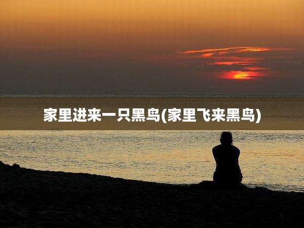 家里进来一只黑鸟(家里飞来黑鸟)