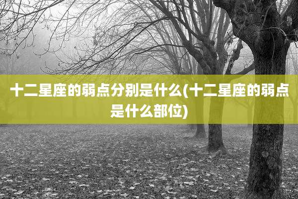 十二星座的弱点分别是什么(十二星座的弱点是什么部位)