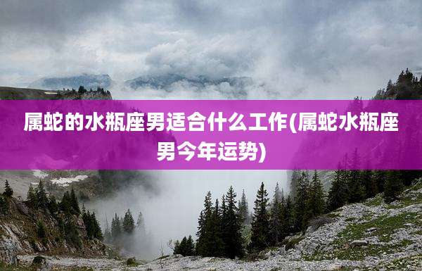 属蛇的水瓶座男适合什么工作(属蛇水瓶座男今年运势)