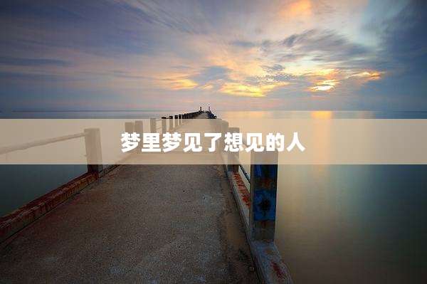梦里梦见了想见的人