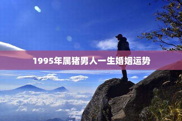 1995年属猪男人一生婚姻运势