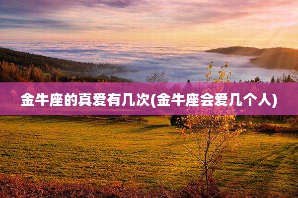 金牛座的真爱有几次(金牛座会爱几个人)