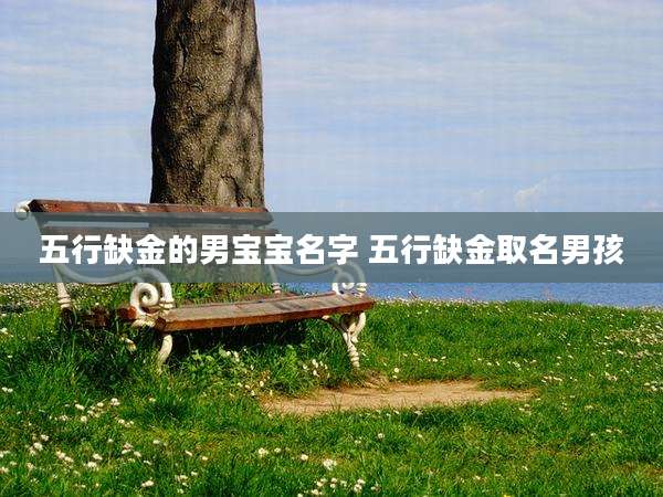 五行缺金的男宝宝名字 五行缺金取名男孩