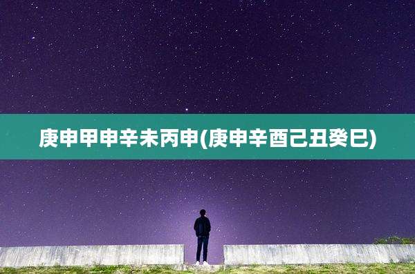 庚申甲申辛未丙申(庚申辛酉己丑癸巳)