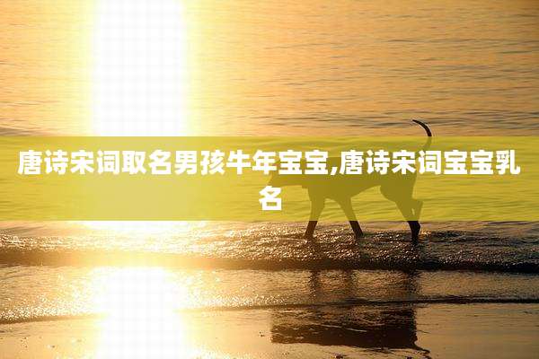 唐诗宋词取名男孩牛年宝宝,唐诗宋词宝宝乳名