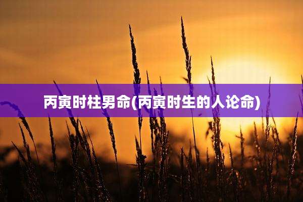 丙寅时柱男命(丙寅时生的人论命)