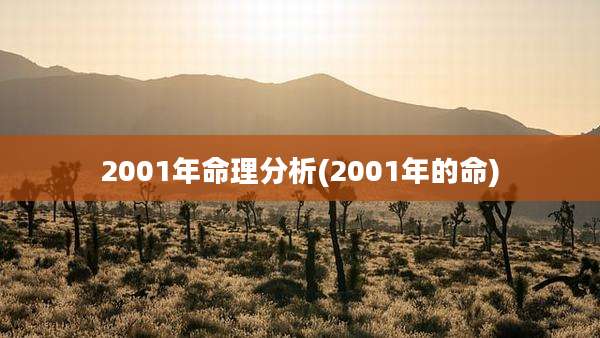 2001年命理分析(2001年的命)