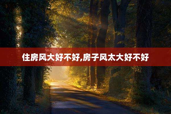 住房风大好不好,房子风太大好不好