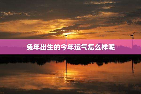 兔年出生的今年运气怎么样呢