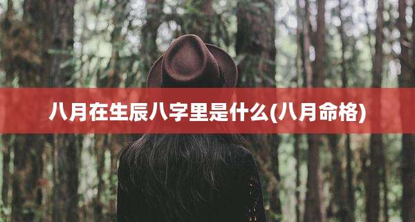 八月在生辰八字里是什么(八月命格)